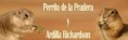 Foro perrito de la pradera y ardilla Richardson
